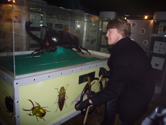 2007_12_23_NatHist-bugwheel.jpg