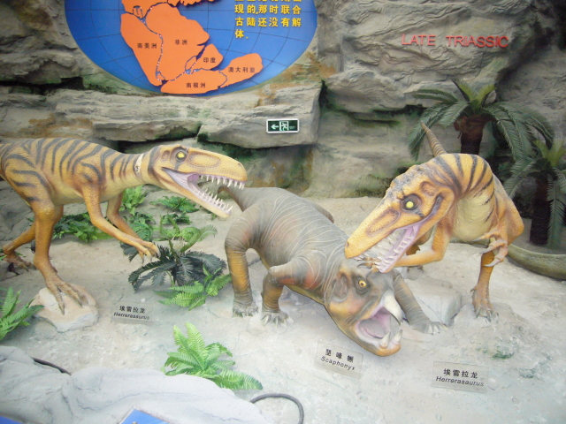 2007_12_23_NatHist-dinosaurs.jpg