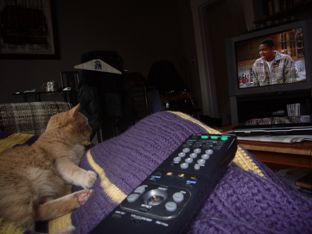 2008_03_19_CatWatch1.jpg
