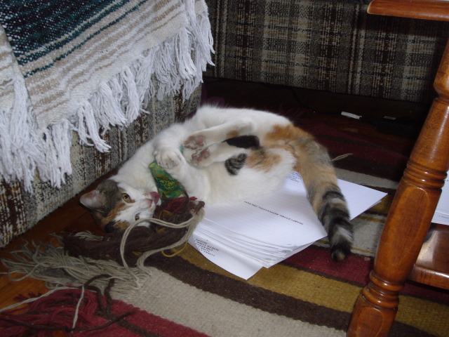 2008_04_25_Sophie1.jpg