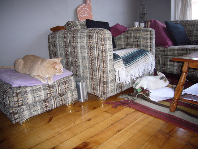 2008_04_25_Sophie2.jpg