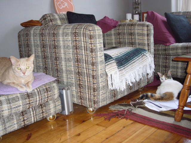 2008_04_25_Sophie3.jpg