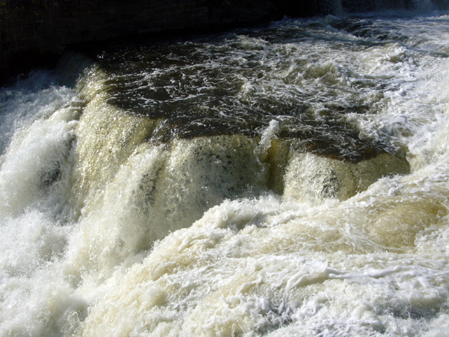 2008_05_16Almonte03.jpg
