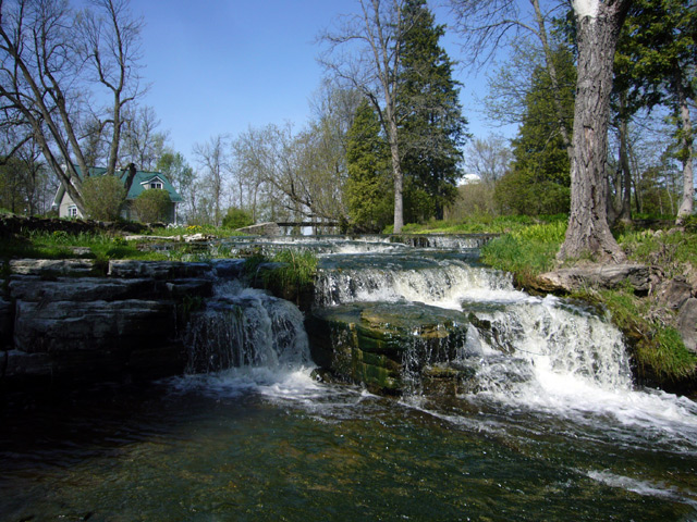 2008_05_16Almonte04.jpg