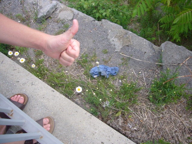 2008_06_02Ott03.jpg