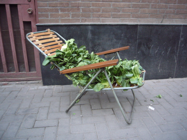 bokchoychair.jpg